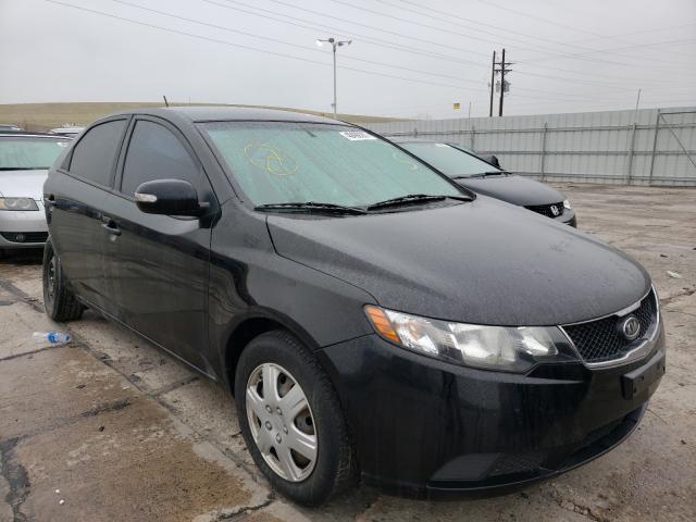 KIA FORTE EX 2010 knafu4a28a5807440