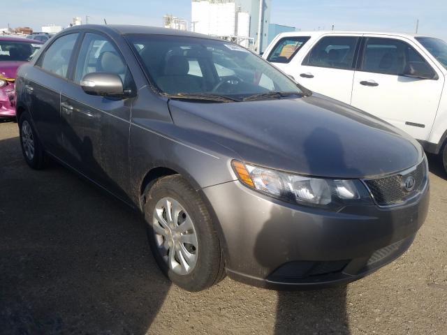 KIA FORTE EX 2010 knafu4a28a5807471