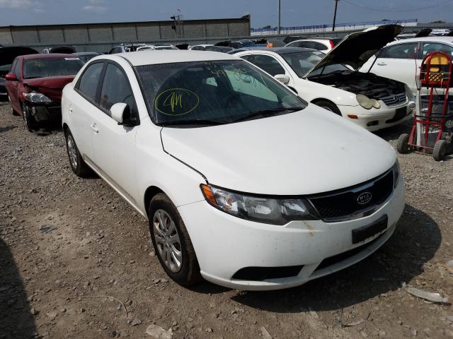 KIA FORTE EX 2010 knafu4a28a5809012