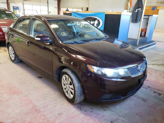 KIA FORTE EX 2010 knafu4a28a5809785