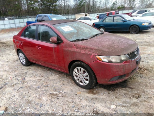 KIA FORTE 2010 knafu4a28a5810211