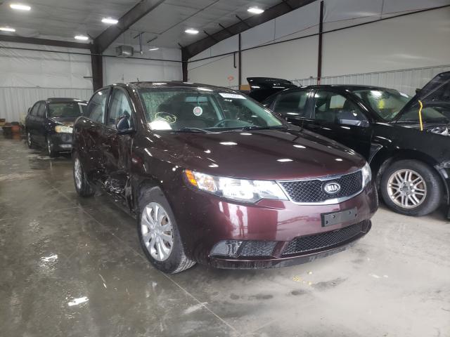 KIA FORTE EX 2010 knafu4a28a5811133