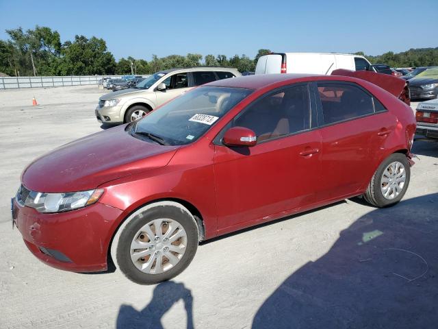 KIA FORTE EX 2010 knafu4a28a5811150