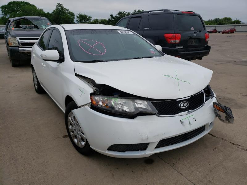 KIA FORTE 2010 knafu4a28a5826490