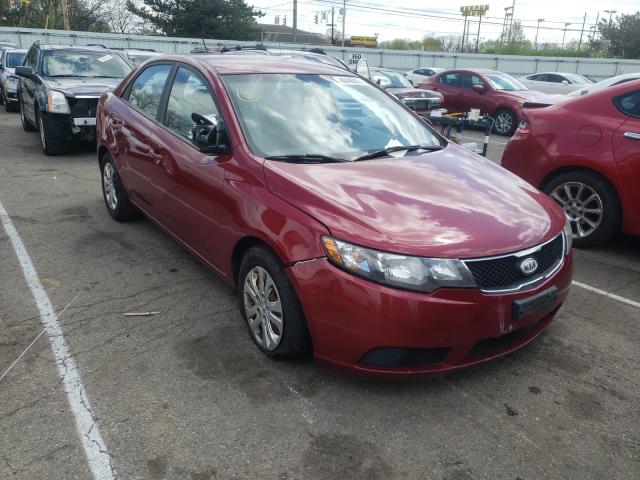 KIA FORTE EX 2010 knafu4a28a5828689