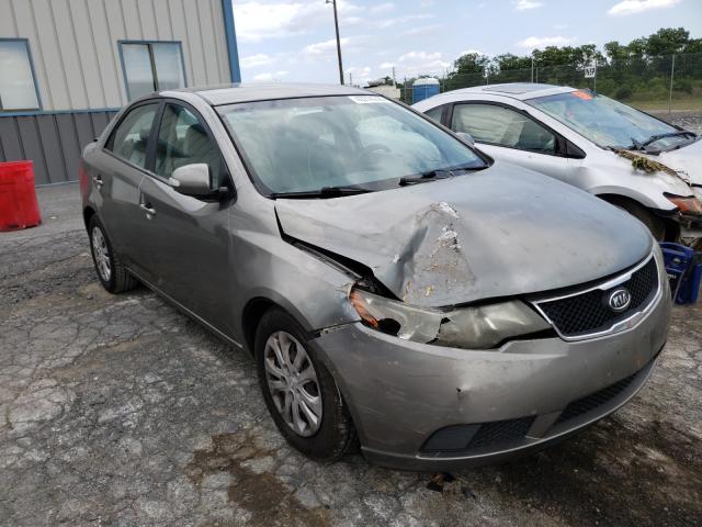 KIA FORTE EX 2010 knafu4a28a5834203