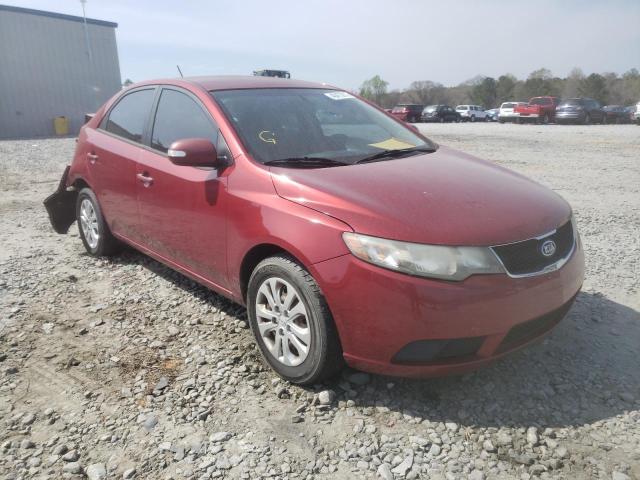 KIA FORTE EX 2010 knafu4a28a5843094