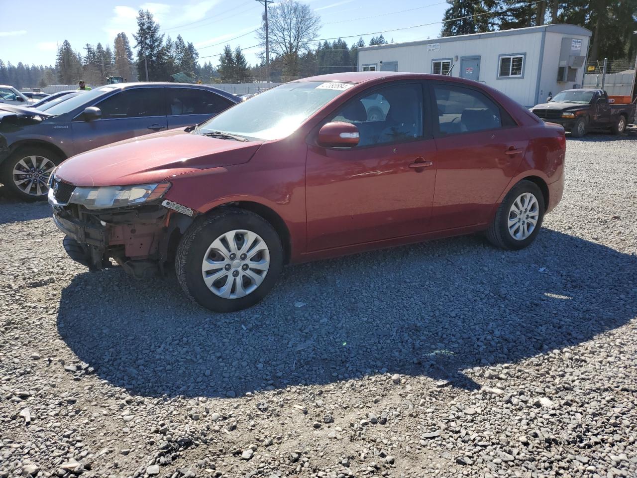 KIA FORTE 2010 knafu4a28a5844889