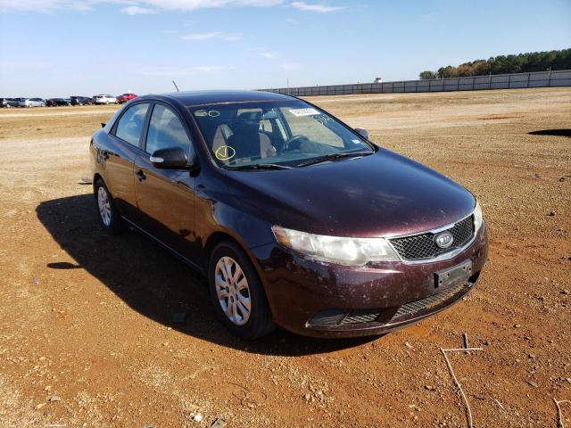 KIA FORTE EX 2010 knafu4a28a5845363