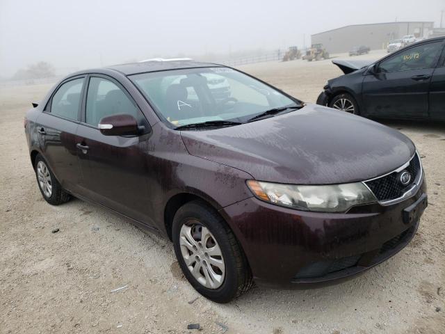 KIA FORTE EX 2010 knafu4a28a5850417