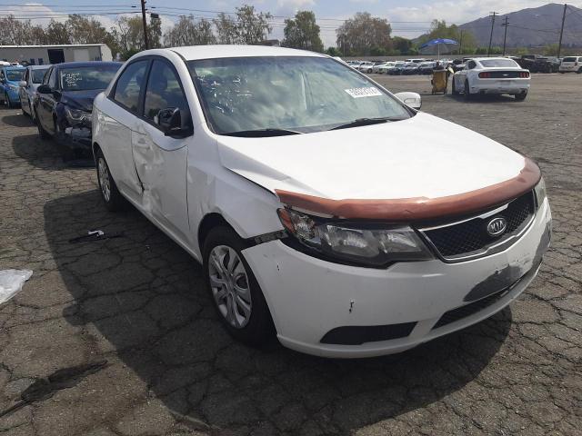 KIA FORTE EX 2010 knafu4a28a5860428