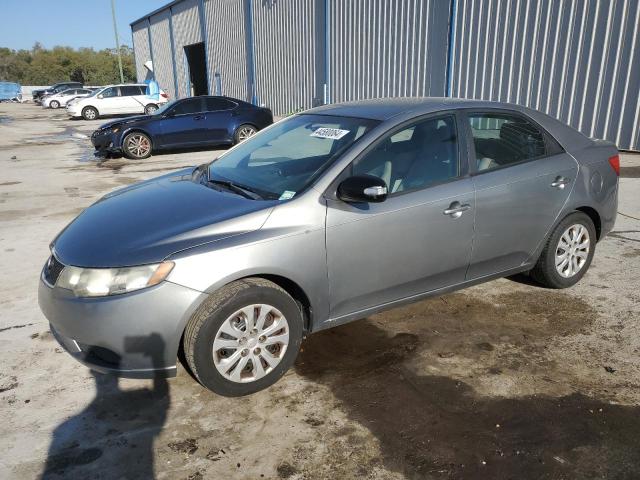 KIA FORTE 2010 knafu4a28a5861983