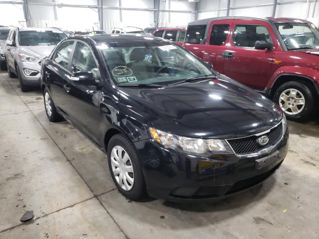 KIA FORTE EX 2010 knafu4a28a5864544