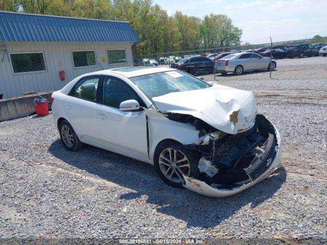 KIA FORTE 2011 knafu4a28b5333457