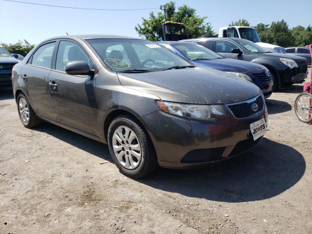 KIA FORTE EX 2011 knafu4a28b5377099