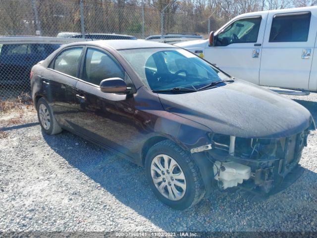 KIA FORTE 2011 knafu4a28b5393285