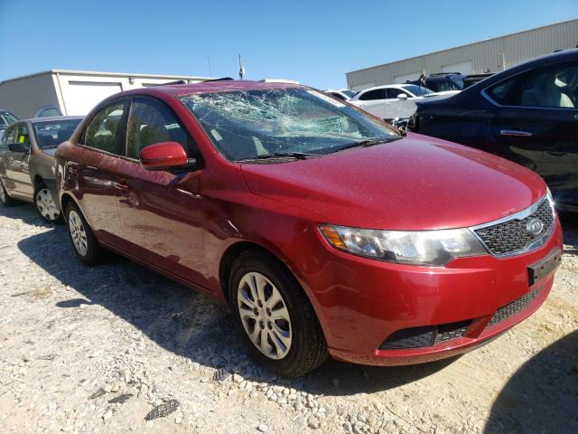 KIA FORTE EX 2011 knafu4a28b5446034