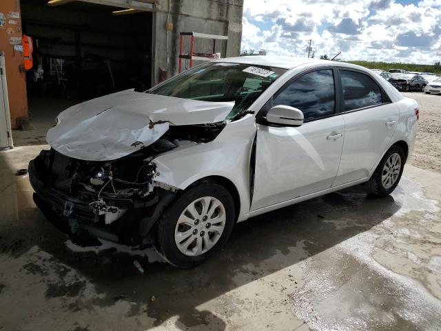 KIA FORTE 2011 knafu4a28b5446115