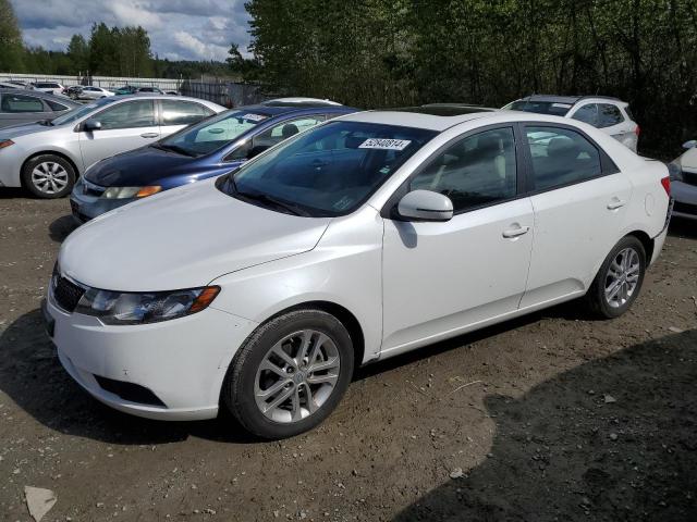 KIA FORTE 2011 knafu4a28b5454117