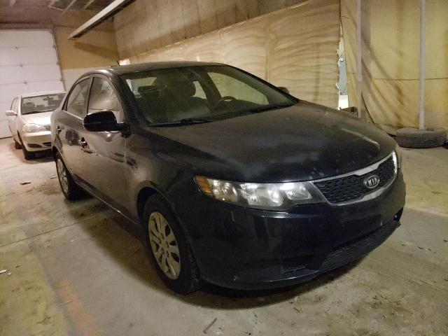 KIA FORTE EX 2012 knafu4a28c5468830