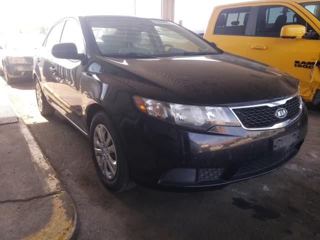 KIA FORTE EX 2012 knafu4a28c5470402