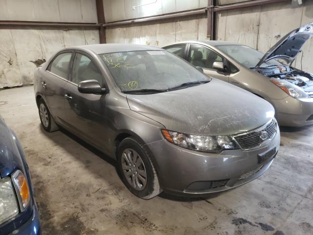 KIA FORTE EX 2012 knafu4a28c5470576