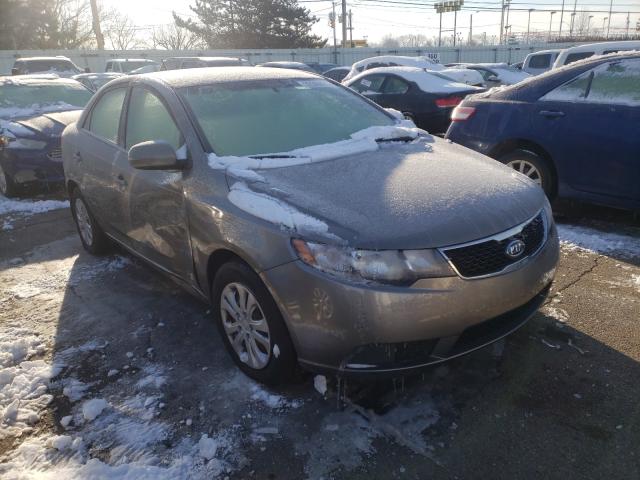 KIA FORTE EX 2012 knafu4a28c5487958