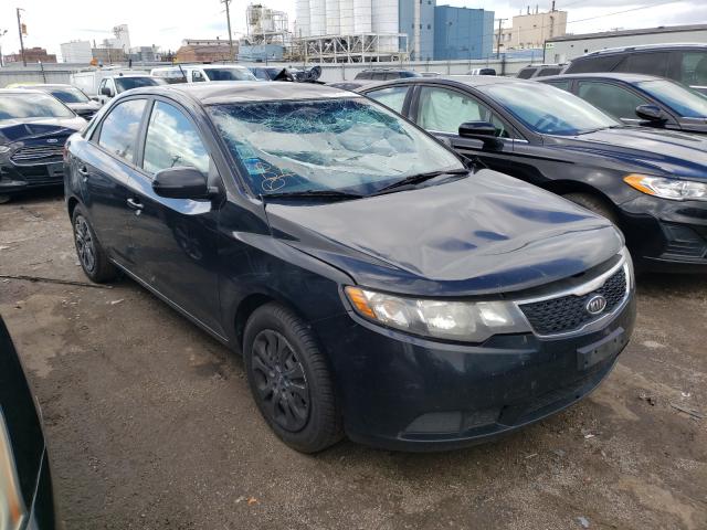 KIA FORTE EX 2012 knafu4a28c5491637