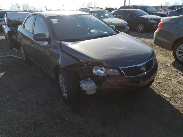 KIA FORTE EX 2012 knafu4a28c5532249