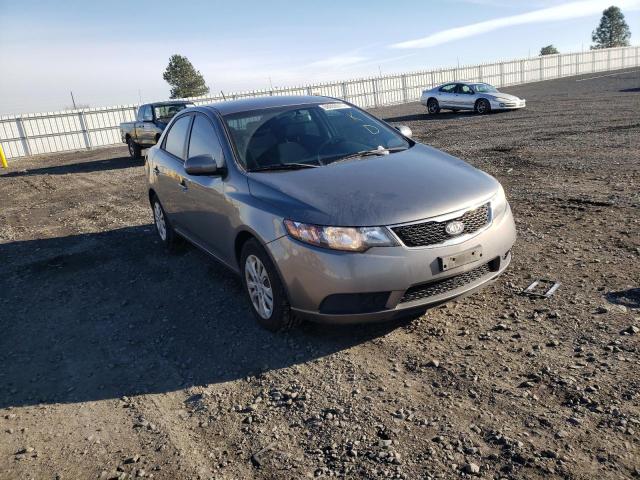 KIA FORTE EX 2012 knafu4a28c5582584