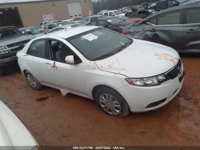 KIA FORTE 2012 knafu4a28c5586005