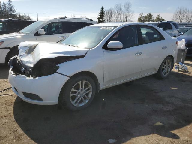 KIA FORTE 2012 knafu4a28c5599420