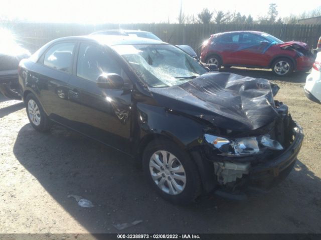 KIA FORTE 2012 knafu4a28c5625952