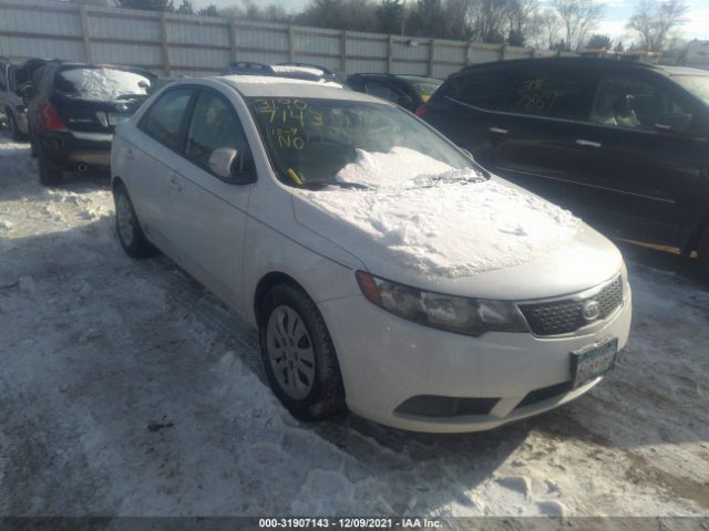 KIA FORTE 2012 knafu4a28c5626678