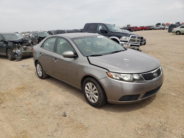 KIA FORTE EX 2012 knafu4a28c5636840