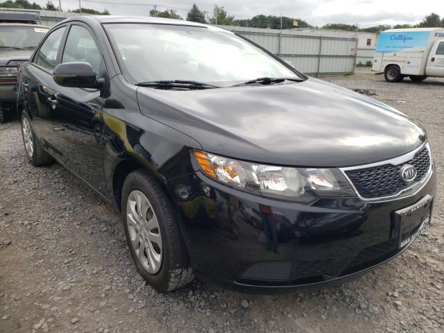 KIA FORTE EX 2012 knafu4a28c5638295