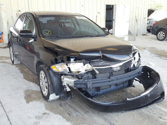 KIA FORTE EX 2012 knafu4a28c5644811