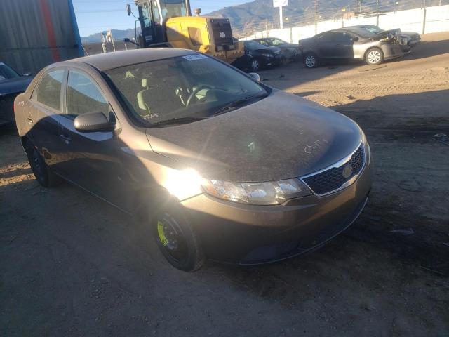 KIA FORTE EX 2013 knafu4a28d5647323