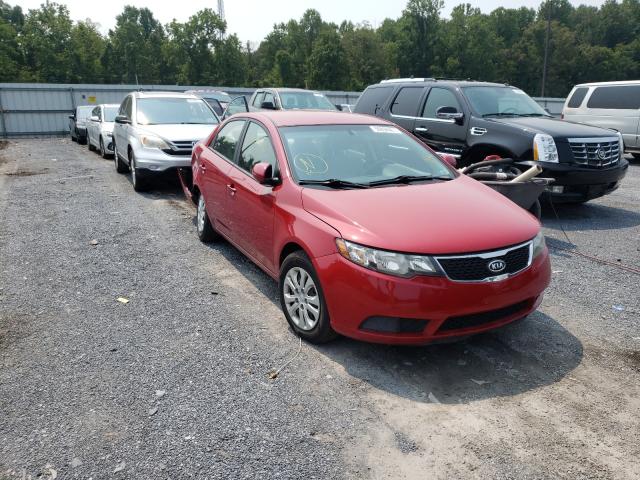 KIA FORTE EX 2013 knafu4a28d5657513