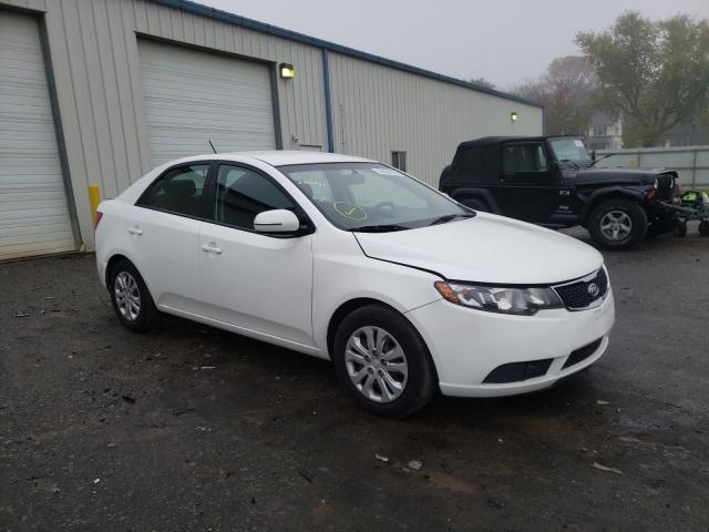 KIA FORTE EX 2013 knafu4a28d5662663