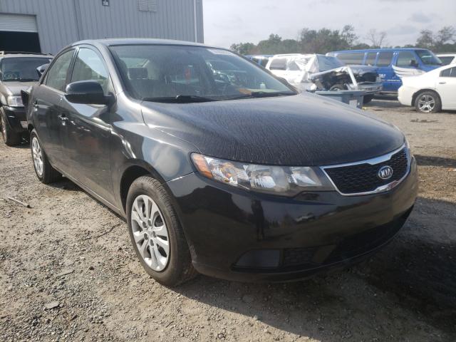 KIA FORTE EX 2013 knafu4a28d5685814