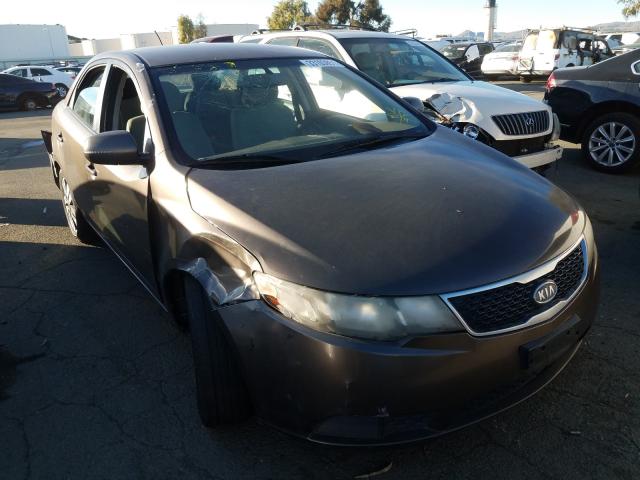 KIA FORTE EX 2013 knafu4a28d5686445