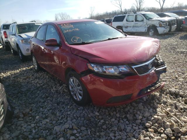 KIA FORTE EX 2013 knafu4a28d5686476