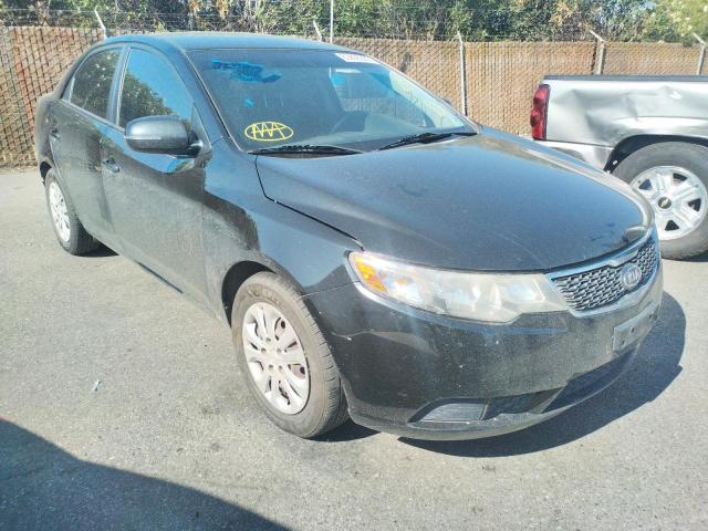 KIA FORTE EX 2013 knafu4a28d5692861