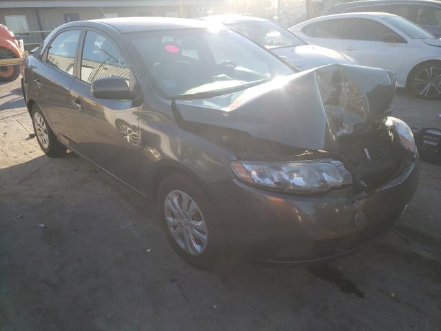 KIA FORTE EX 2013 knafu4a28d5694898