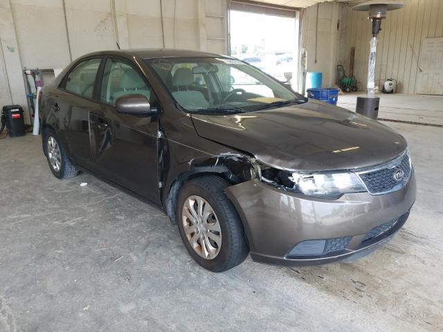 KIA FORTE EX 2013 knafu4a28d5725924