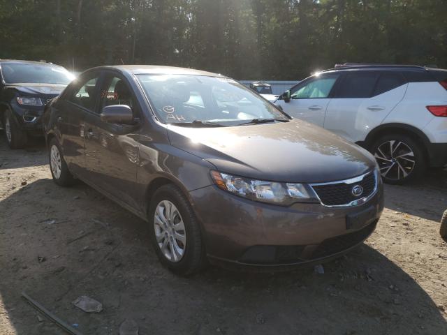 KIA FORTE EX 2013 knafu4a28d5727589