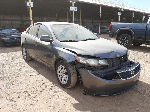 KIA FORTE EX 2013 knafu4a28d5728368