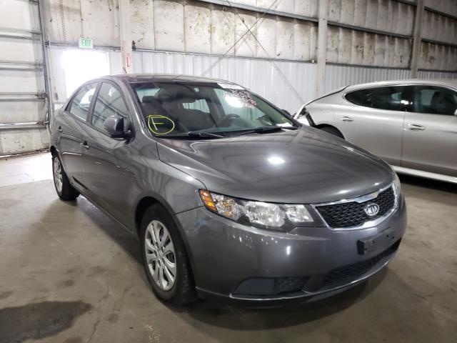 KIA FORTE EX 2013 knafu4a28d5731402