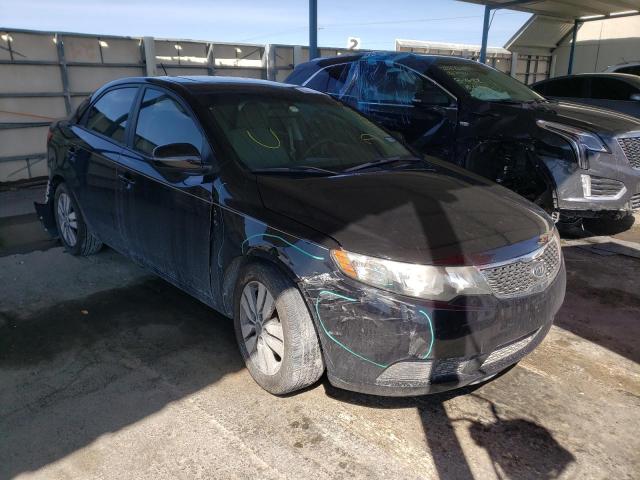 KIA FORTE EX 2013 knafu4a28d5732257